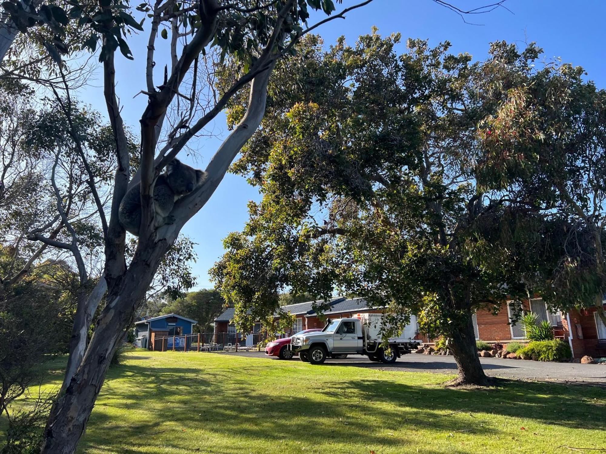 Port Campbell Motor Inn Exterior photo