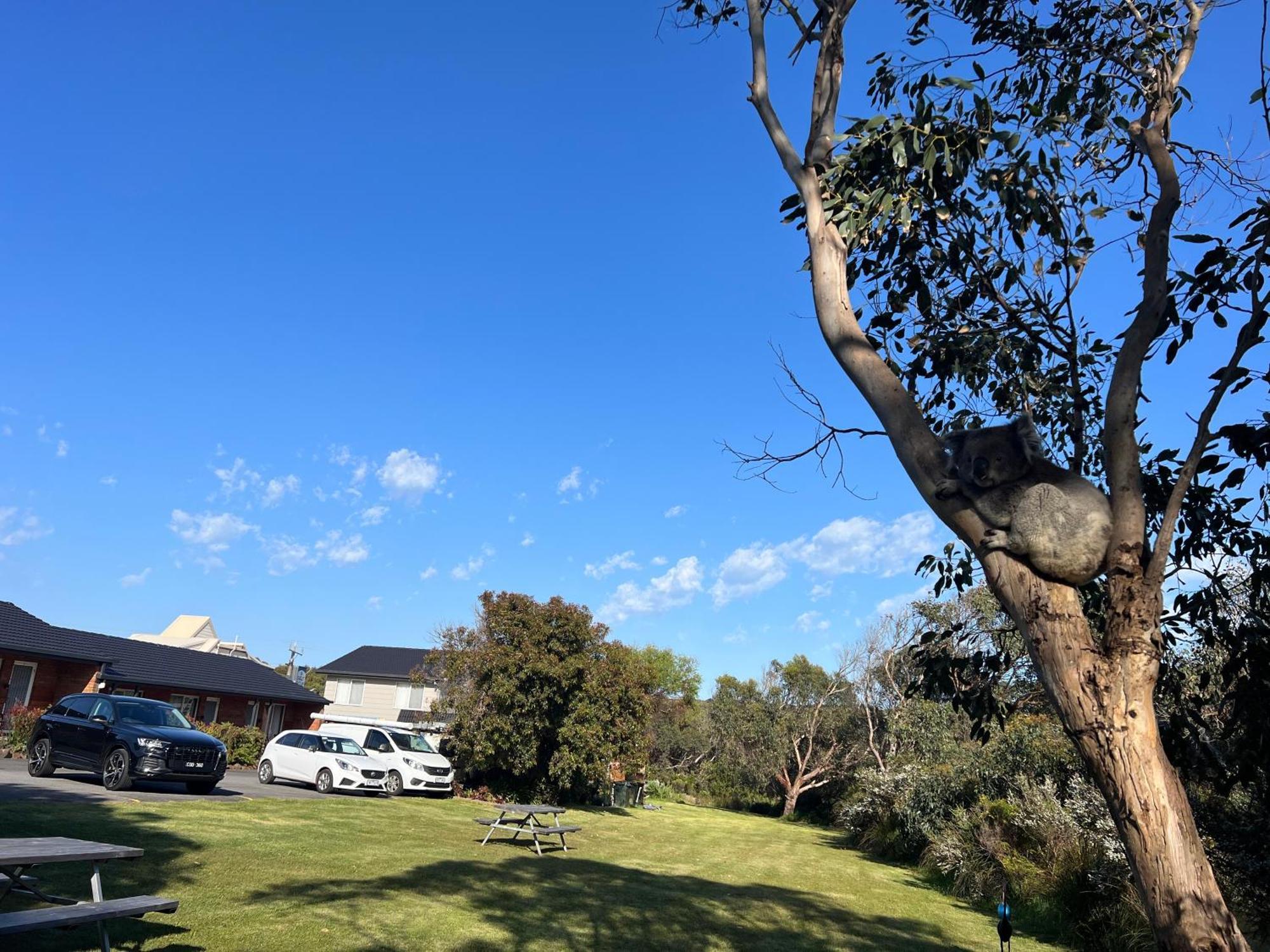 Port Campbell Motor Inn Exterior photo